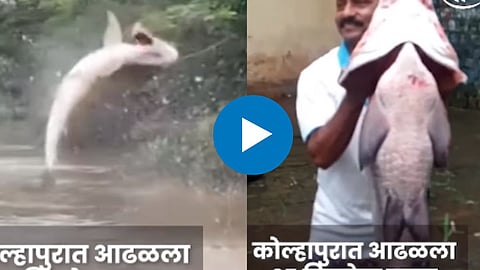 kolhapur Video