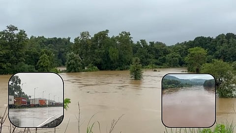 Maharashtra Rain Update: राज्यात कोसळधार! कोकणाला पावसाने झोडपलं, नदी-नाल्यांना पूर; शाळा-कॉलेजला सुट्टी जाहीर