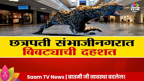 Leopard: छत्रपती संभाजीनगरात बिबट्याची दहशत ,मॉलमध्ये बिबट्या, शाळांनाही टाळं  