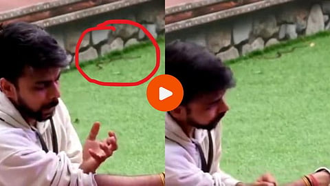 Snake in Bigg Boss House: बिग बॉसच्या घरात लांबलचक साप; घरातील स्पर्धकांचा जीव धोक्यात, पाहा VIDEO
