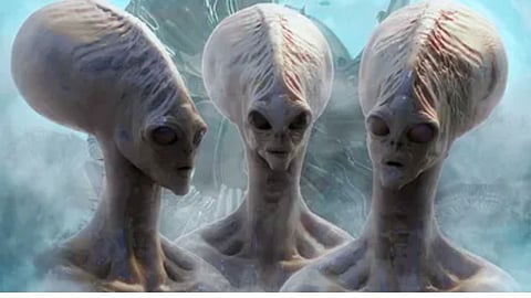 Aliens On Earth