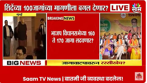 VIDEO: लोकसभेच्या निकालाची धास्ती, भाजप विधानसभेला १७० जागा लढवणार? शिंदे गट, अजित दादांच्या वाट्याला काय?