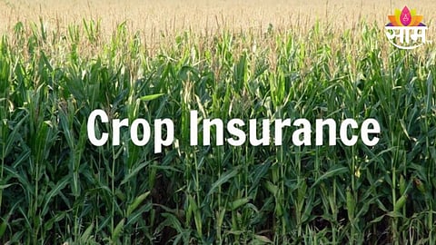 Crop Insurance