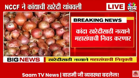 Saam Impact Video: NCCF ने थांबवली कांद्याची खरेदी; घोटाळ्याच्या वृत्तानंतर  67 महासंघांची खरेदी बंद; साम टीव्हीच्या बातमीचा इम्पॅक्ट