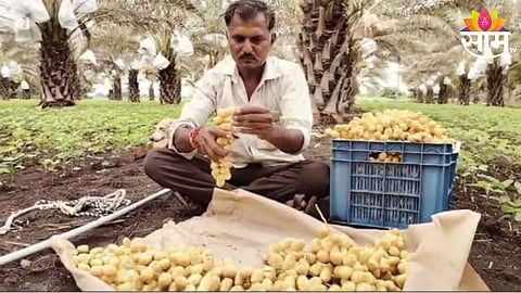 Farmer Success Story