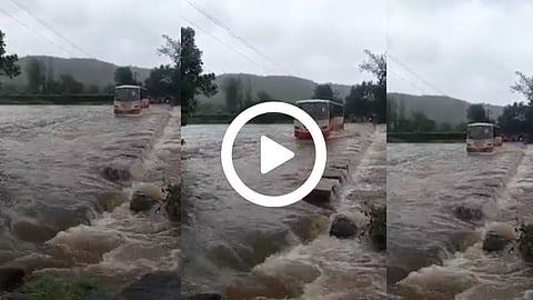 Raigad Rain News
