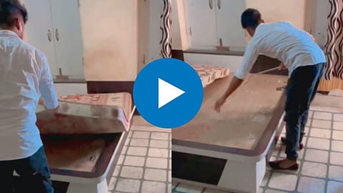 Snake Hide in Bed