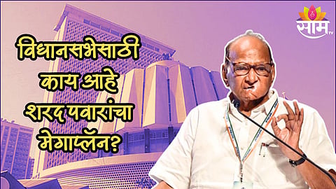 'मविआ 225 जागा जिकणार', विधानसभेसाठी काय आहे शरद पवारांचा मेगाप्लॅन? 4 पॉईंट्समध्ये जाणून घ्या  