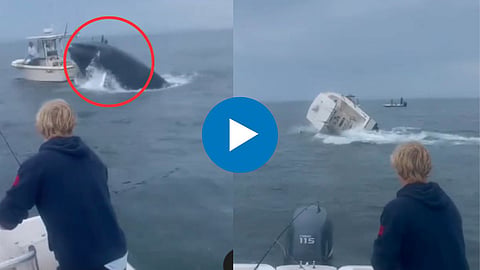 Shocking Video 