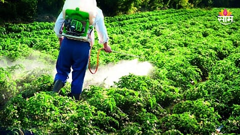 Buldhana News: औषध फवारणी करताना काळजी घ्या! बुलढाण्यात आणखी चार महिलांना विषबाधा; रुग्णालयात उपचार सुरु