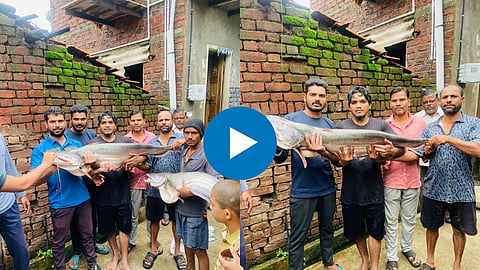 kolhapur Viral Video