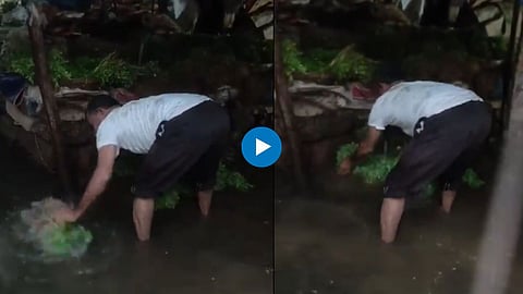 मुंबईकरांच्या आरोग्याशी जीवघेणा खेळ; भाज्या धुण्यासाठी गटाराचं पाणी 