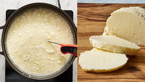 Mozzarella Cheese Recipe: घरच्याघरी मोजरेला चीज बनवणे आहे एकदम सोप्पे; रेसिपी वाचा आणि झटपट बनवा
