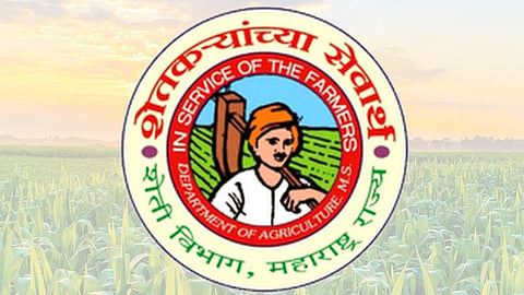 Government Job