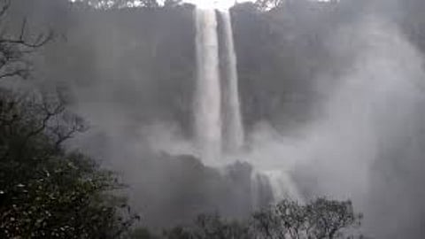 Satara Tourist: देशातील सर्वाधिक उंचीचा धबधबा पाहिला का? हिरवा निसर्ग पाहताच क्षणी म्हणाल Awesome  