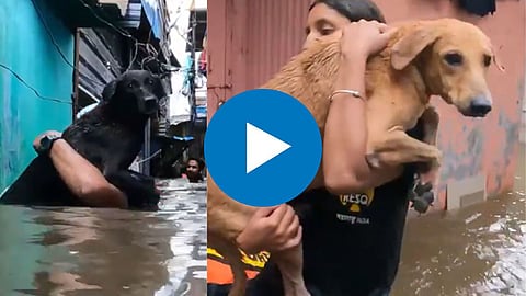 Pune Flood Video