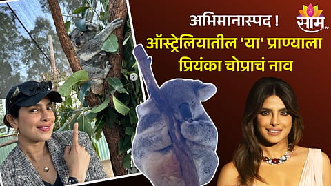 Priyanka Chopra News