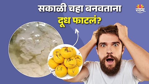 Kesar Peda