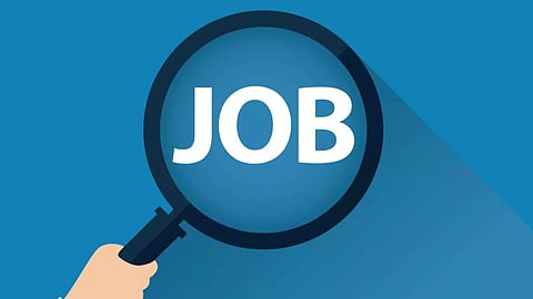 Government Job