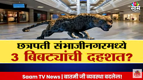 Special Report