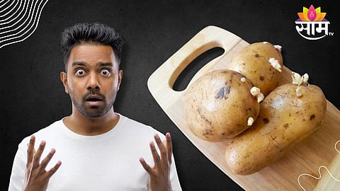 Sprouted Potatoes Health Side Effects