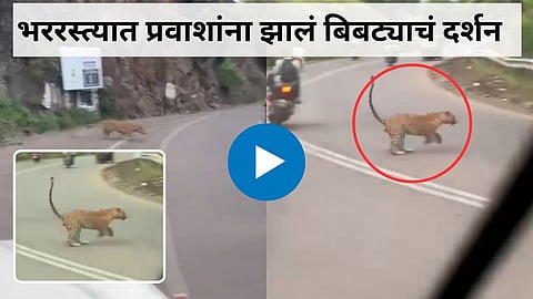 Leopard Viral Video