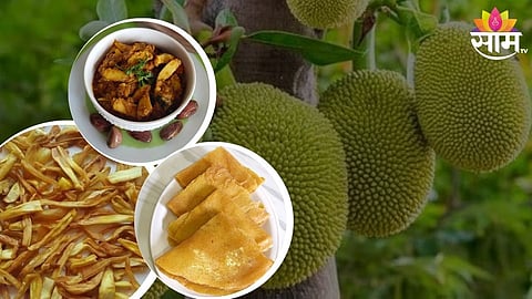 Jackfruit