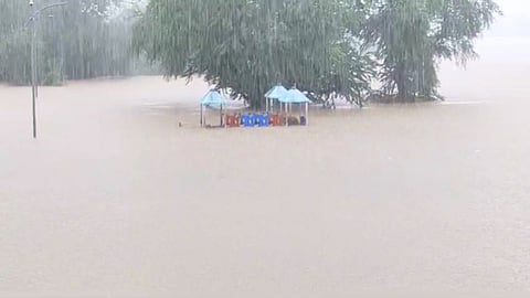 Rain Alert 