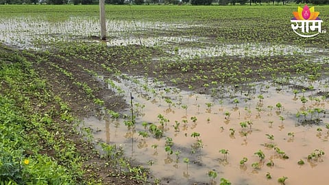 Chandrapur Heavy Rain