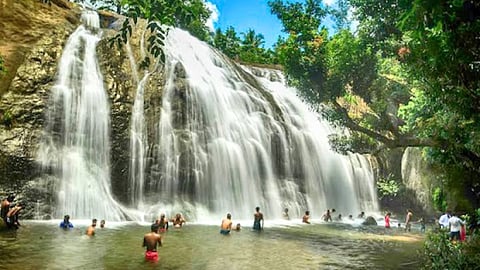 Anayadikuthu Waterfalls
