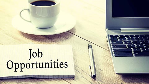 Job Opportunity News
