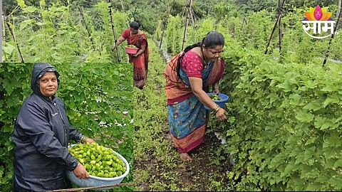 Farmer Success Story