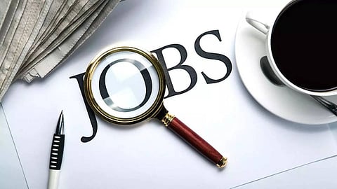 Government Job