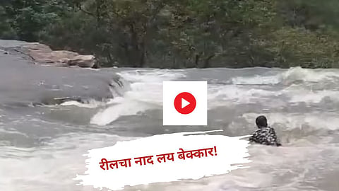 Viral News 