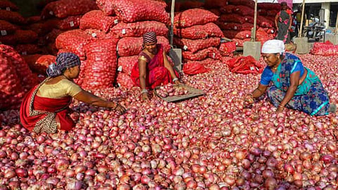 Onion Export: बांगलादेशात हिंसाचारामुळे कांदा निर्यातीला फटका; नाशकातून होणारी कांदा निर्यात ठप्प 
