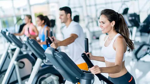 Weight Loss Diet Plan