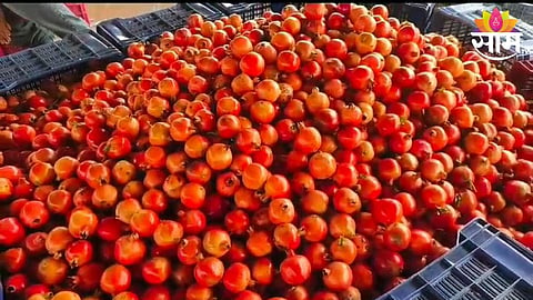 Pomegranate Exports
