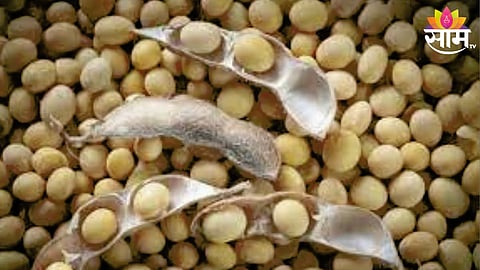Soyabean Price