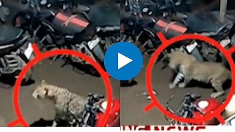 Viral Video
