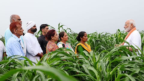 Crop Varieties: शेतकरी होणार मालमाल; अधिक उत्पादन देणाऱ्या ६१ पिकांच्या १०९ जाती  ICAR कडून विकसित 