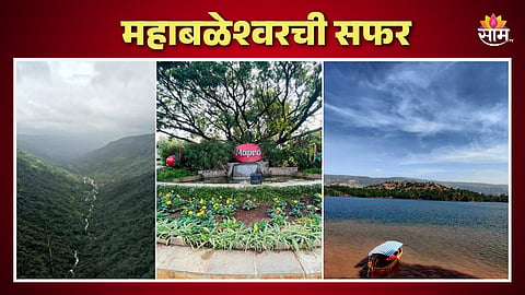 Monsoon Special