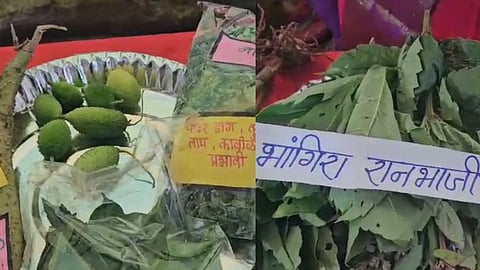 Kolhapur Ranbhaji Mahotsav 