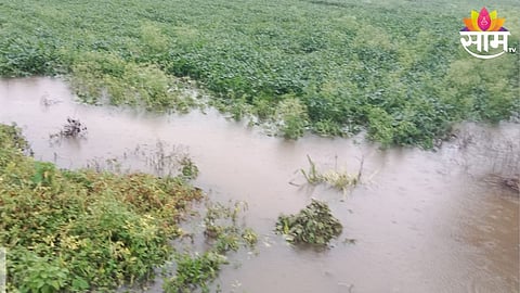 Hingoli Heavy Rain