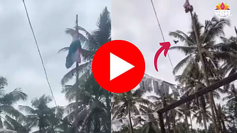 Viral Video: पक्ष्याने तिरंगा फडकवल्याचा तो व्हिडिओ खोटाच! व्हायरल व्हिडिओचा खरा VIDEO पाहा 