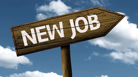 Government Jobs