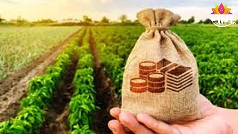 Crop Loan