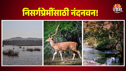Gadchiroli