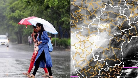 Maharashtra Weather Update: मध्य महाराष्ट्र, मराठवाड्यासह विदर्भावर अवकाळीचे संकट, विजांच्या कडकडाटासह पाऊस; येलो अलर्ट