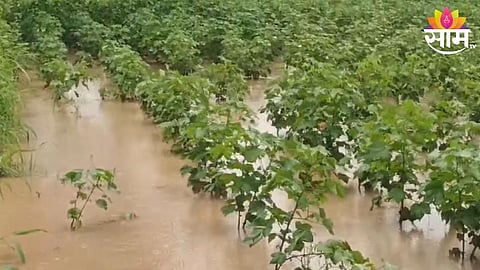 Dhule Rain