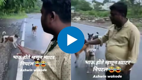 Viral Video 
